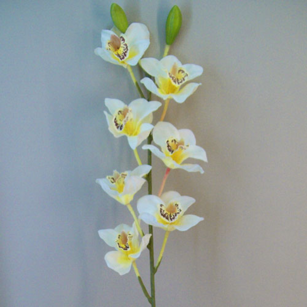 Artificial Cymbidium Orchids Cream And Yellow 81cm Artificial Flowers